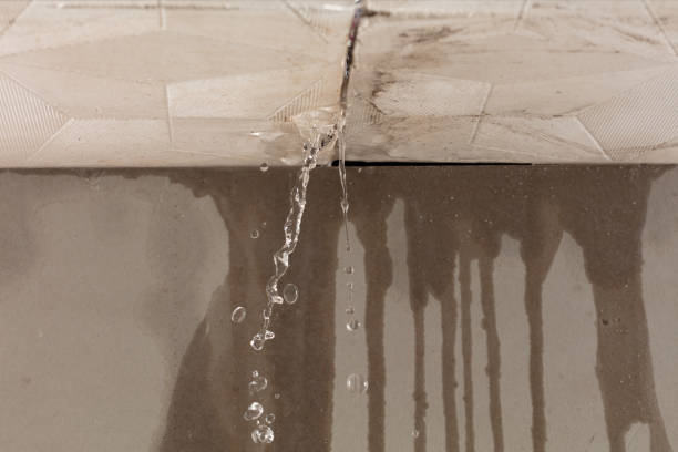 Professional Burst Pipe Cleanup technician working in Lenox, TN
